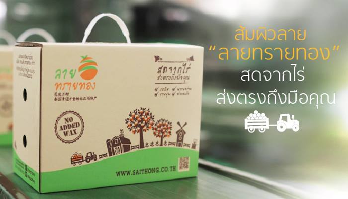 สวนส้มทรายทอง