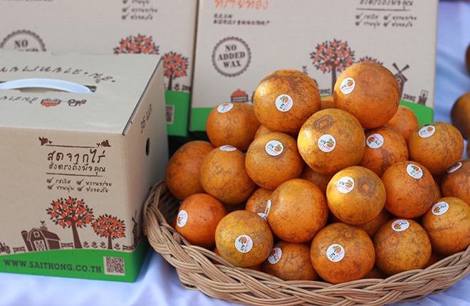 ส้มสายน้ำผึ้ง เบอร์ 3 = 36ผล (ลายทรายทอง)