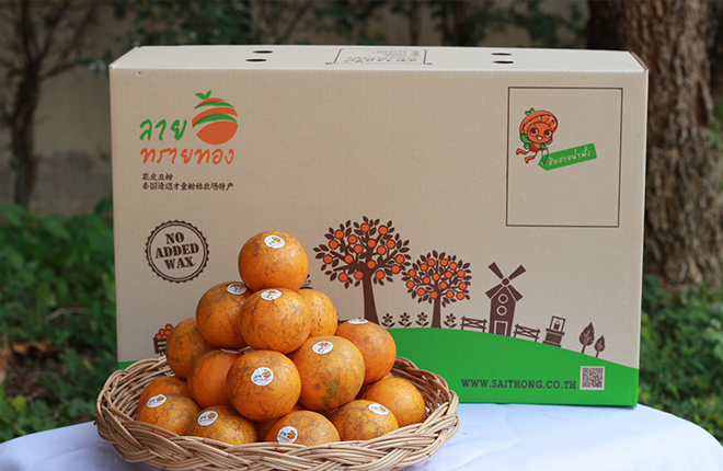 ส้มสายน้ำผึ้ง เบอร์ 3 = 120ผล (ลายทรายทอง)