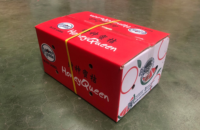 ส้มสายน้ำผึ้ง เบอร์ 6 = 72ผล (ฮันนี่ควีน)