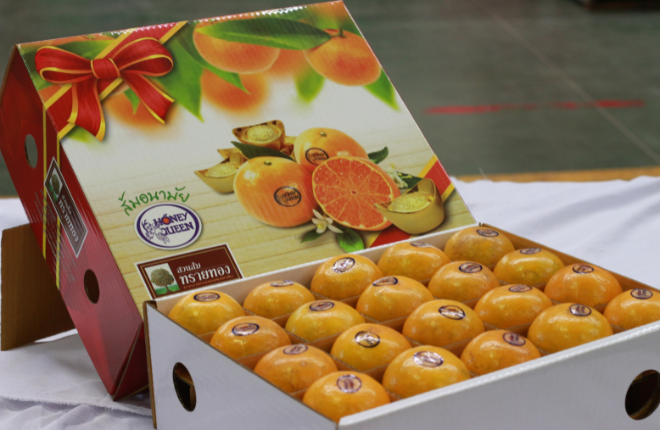 ส้มสายน้ำผึ้ง เบอร์ 6(M) = 40ผล (ฮันนี่ควีน)